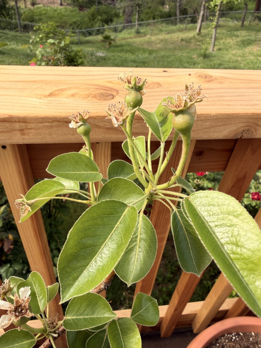 Oatmeal 🥣 tweet media