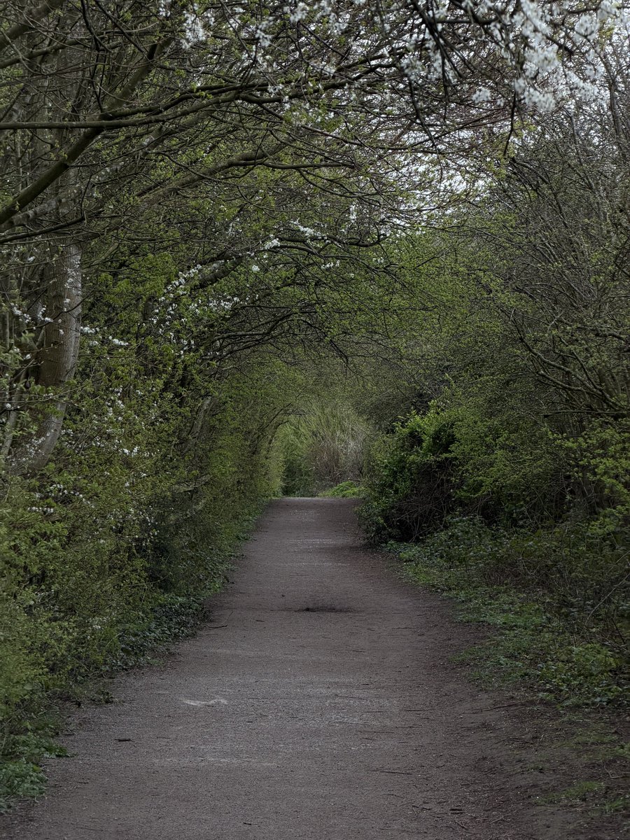 rly cool girl tweet media