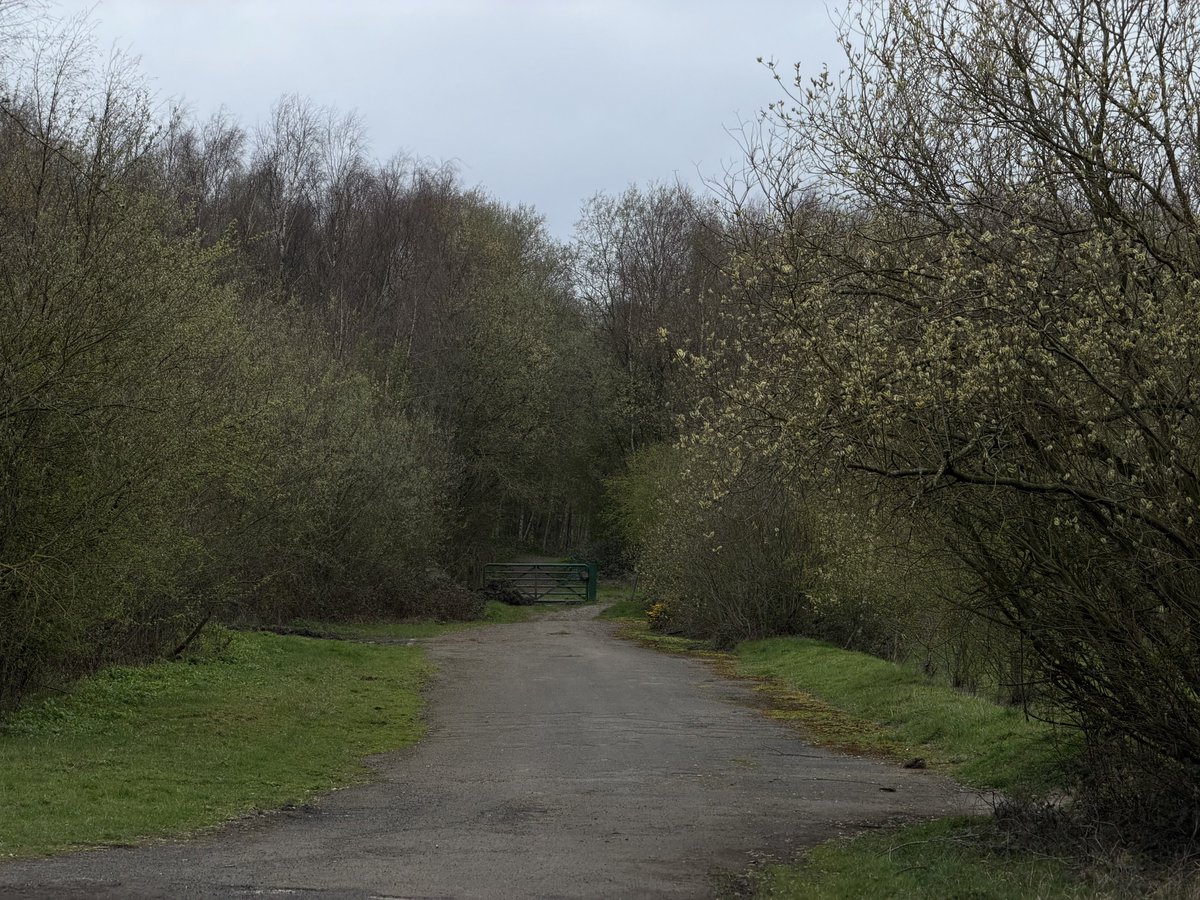 rly cool girl tweet media