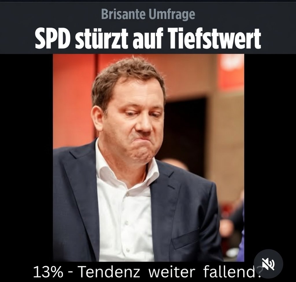 Satire-S@bine-Mueller™ 🇺🇸 @elonmusk tweet media