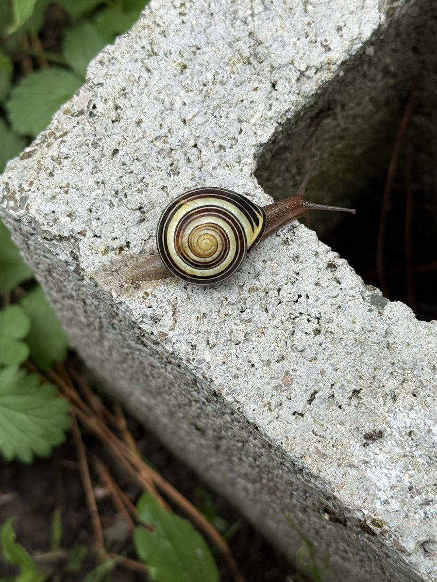 ⎊ Dallas | 🍉 tweet media