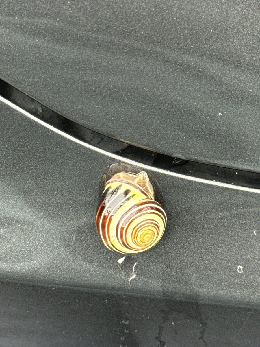 ⎊ Dallas | 🍉 tweet media