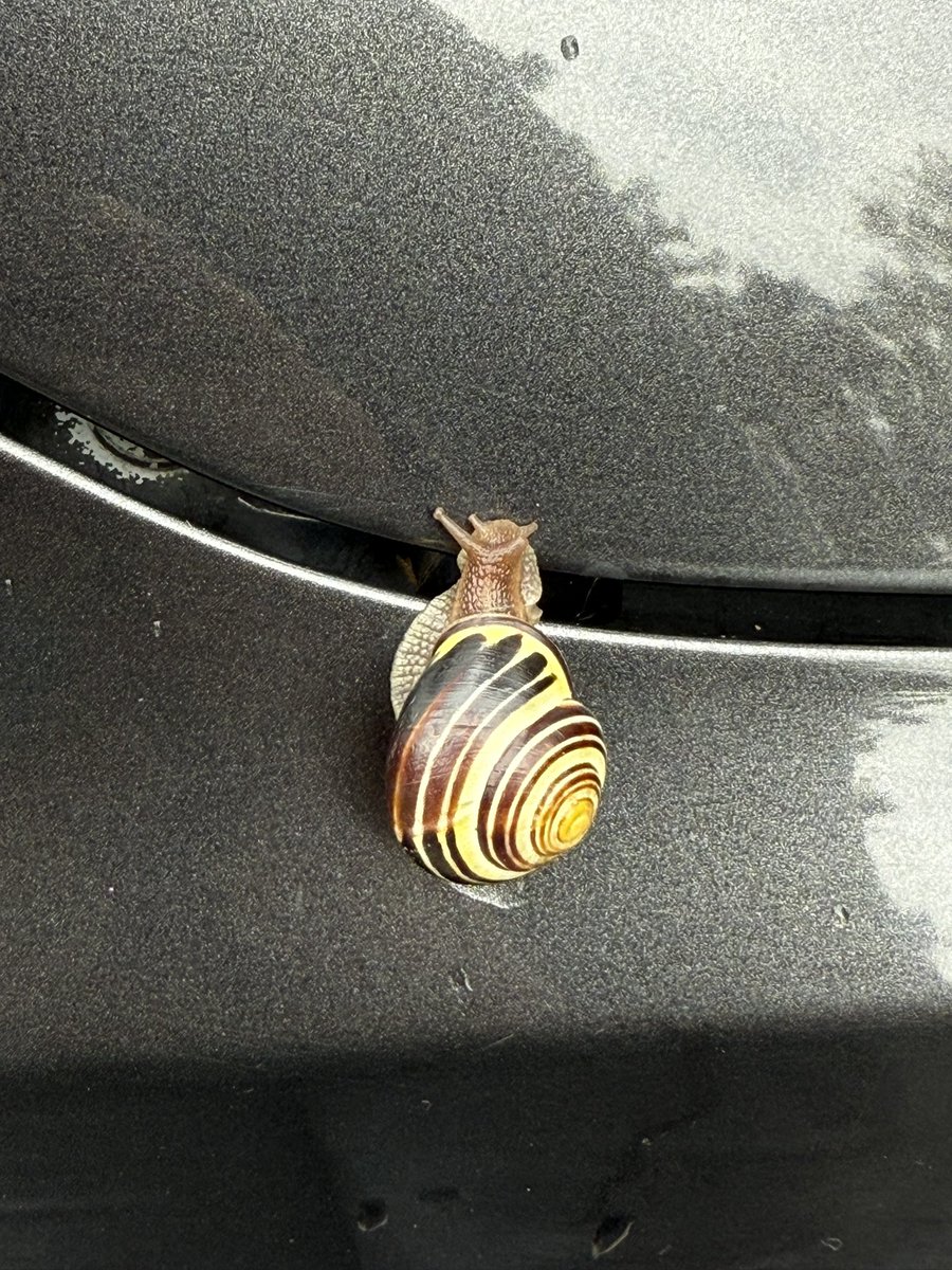 ⎊ Dallas | 🍉 tweet media