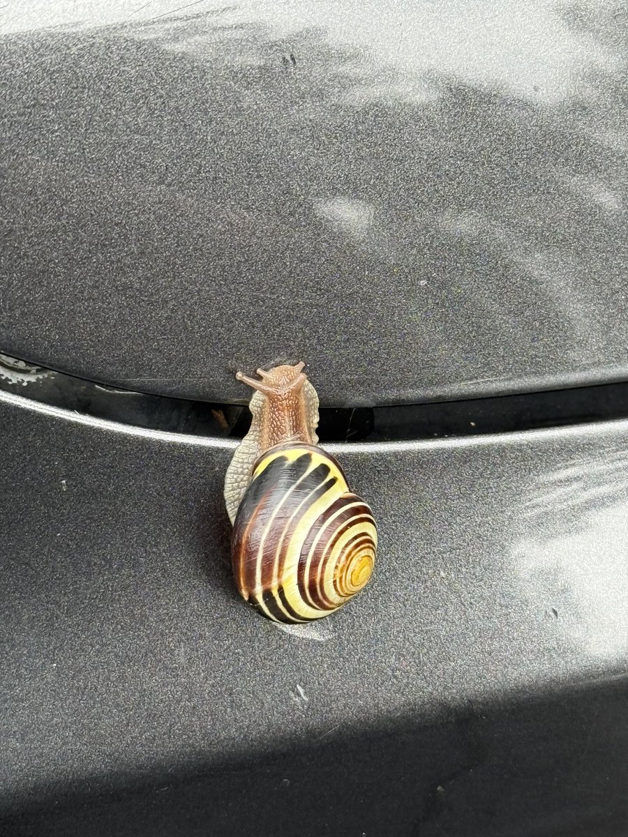 ⎊ Dallas | 🍉 tweet media