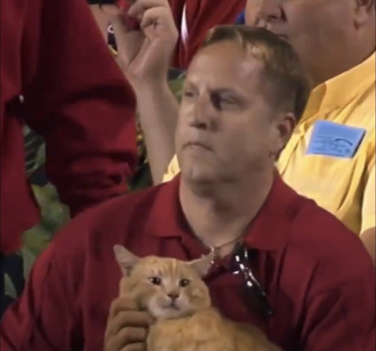 ChiS Sports tweet media