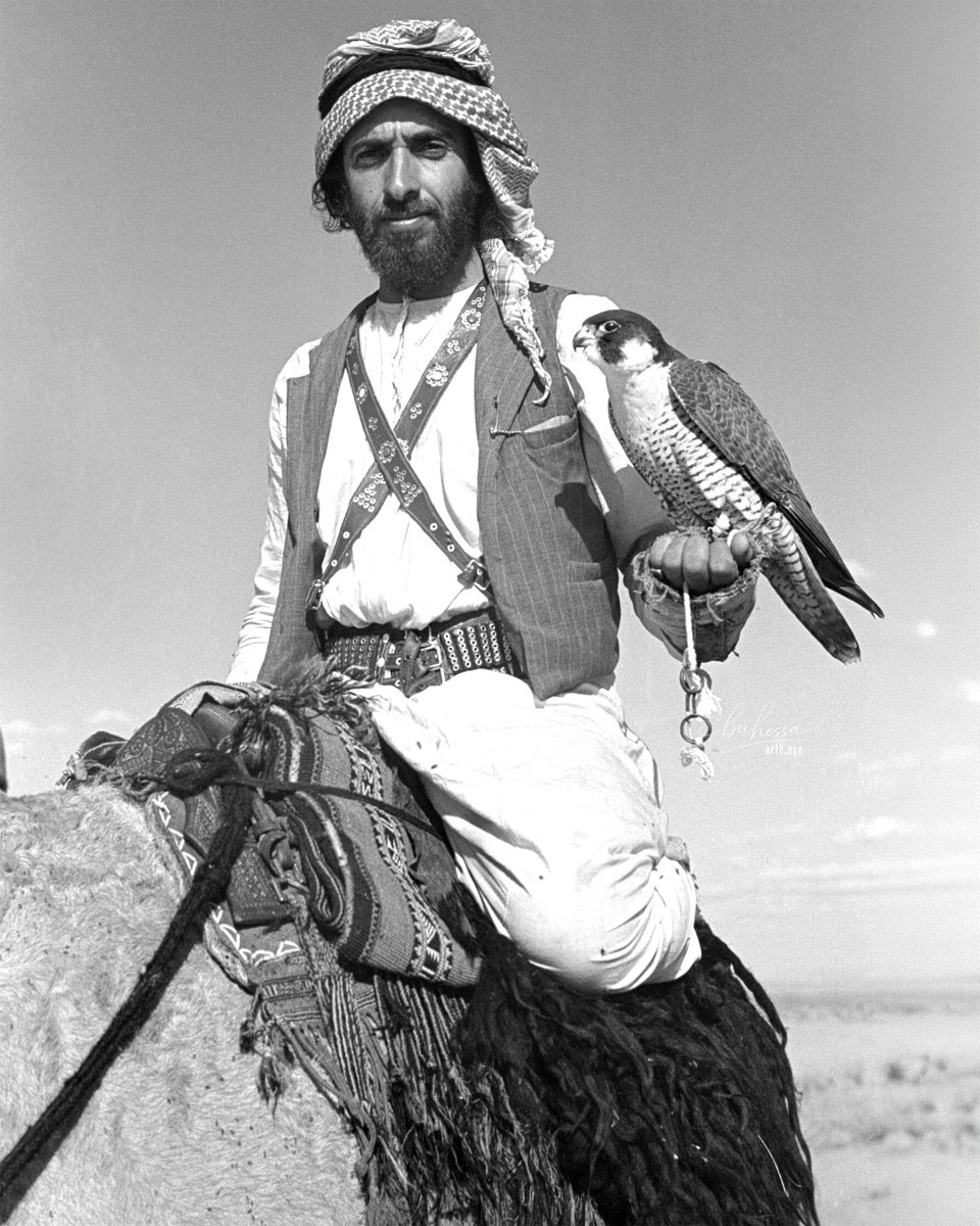 bu hessa tweet media