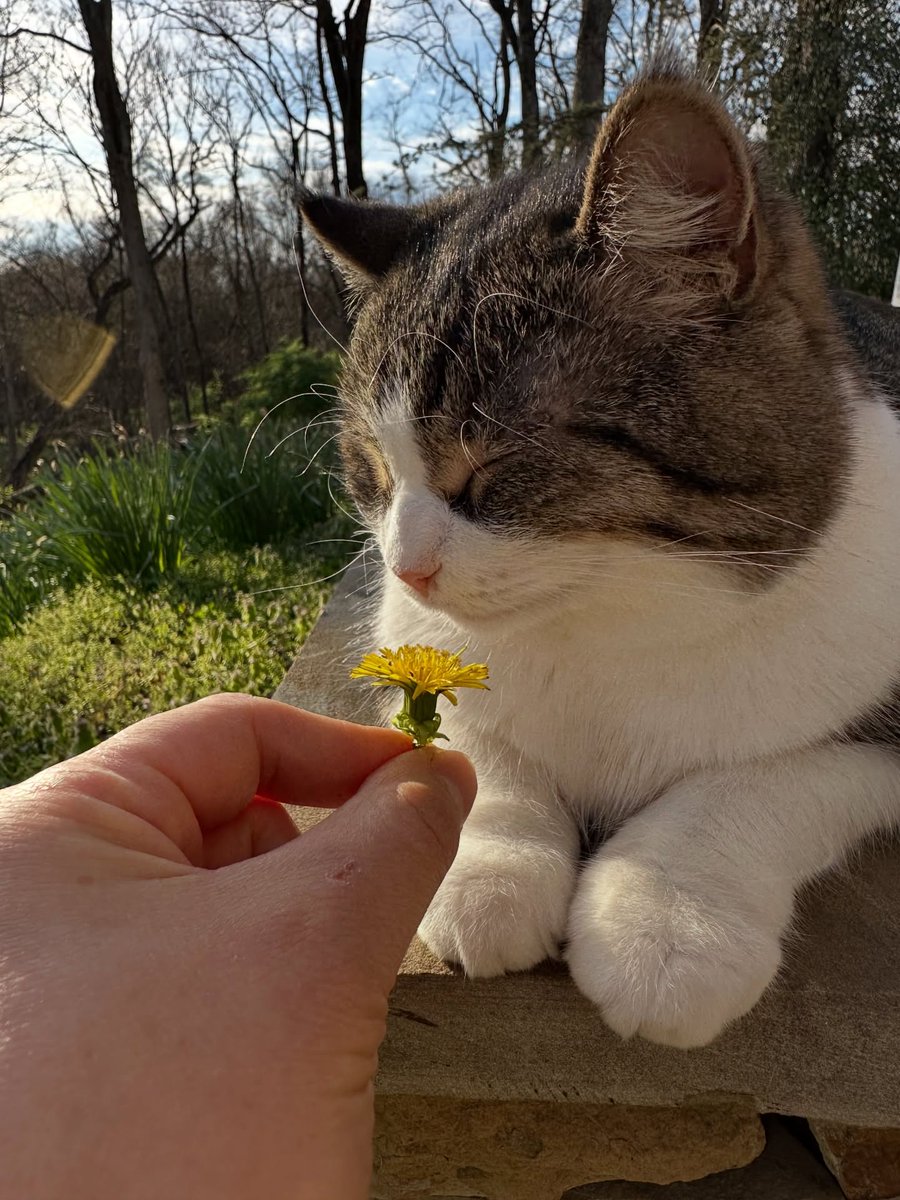 Purely Green tweet media