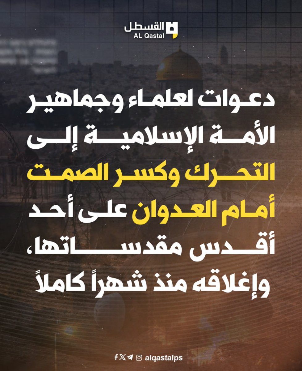 القسطل الإخباري tweet media