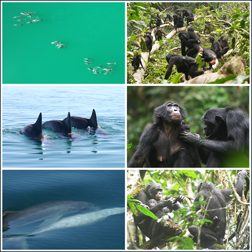 Hasan G. Bahçekapılı tweet media