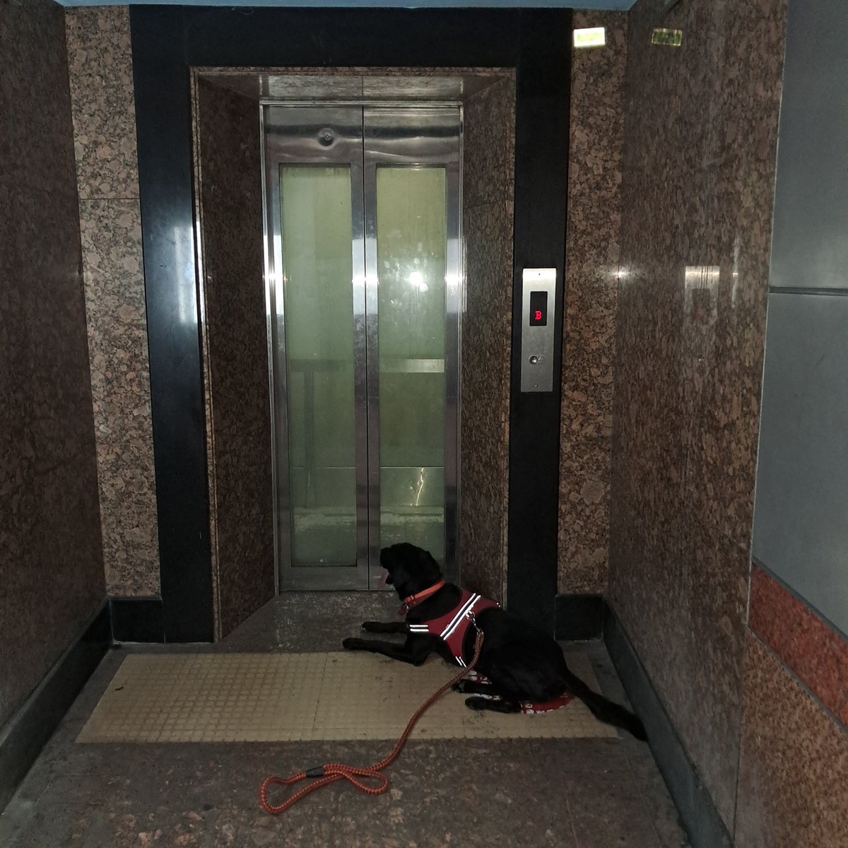 Kelev 🇨🇦 🇬🇧 🇵🇭 🇮🇱 tweet media