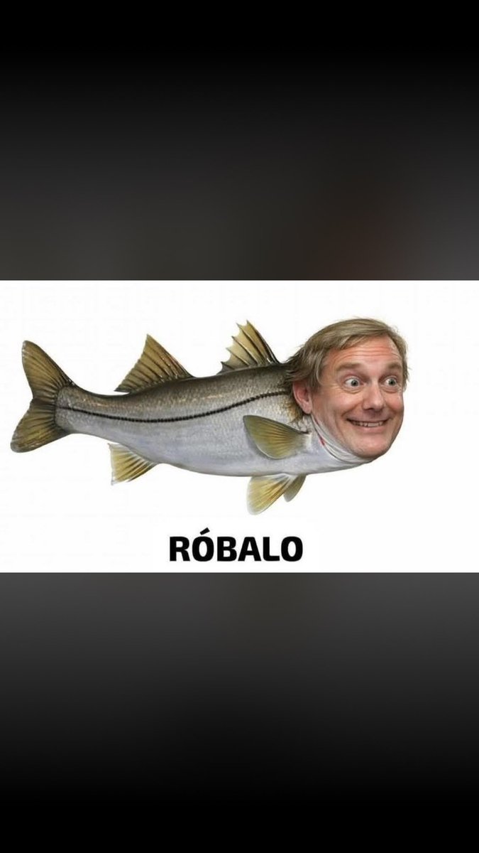 Tato Gams tweet media