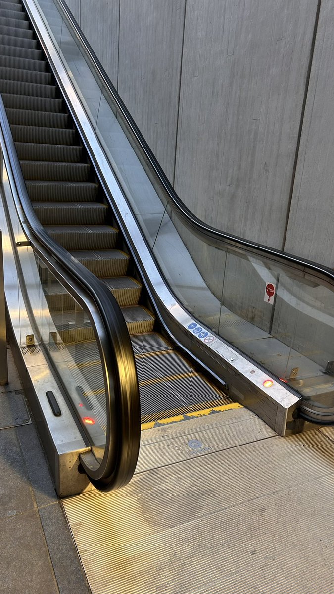 Jo-an 🇵🇸 🍉 tweet media