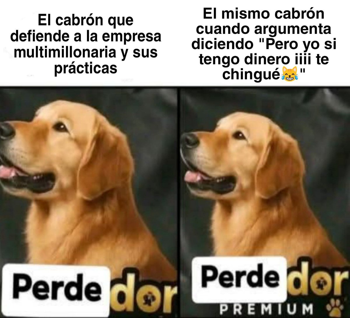 Shitpost Aleatorio tweet media