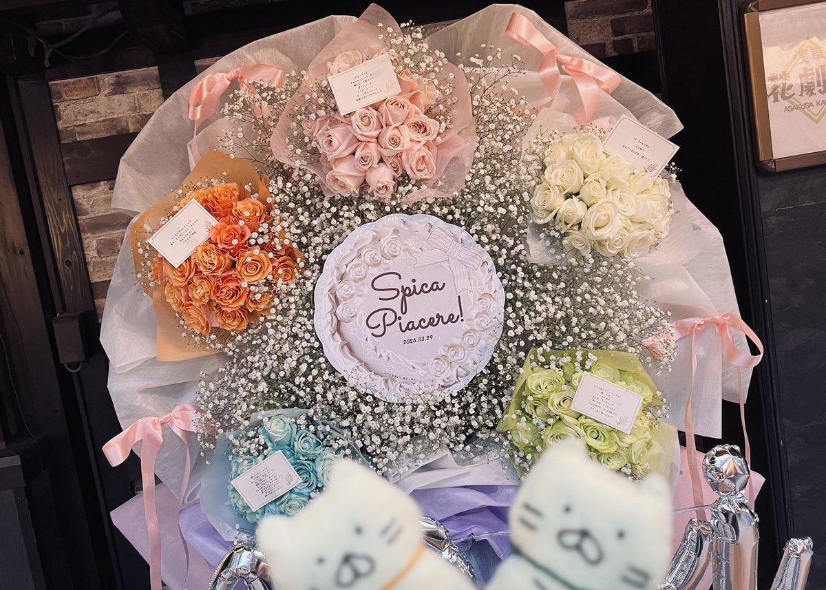 ねこむら(cat nap) tweet media