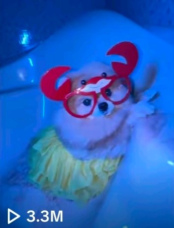 CrypTic (Kori) tweet media