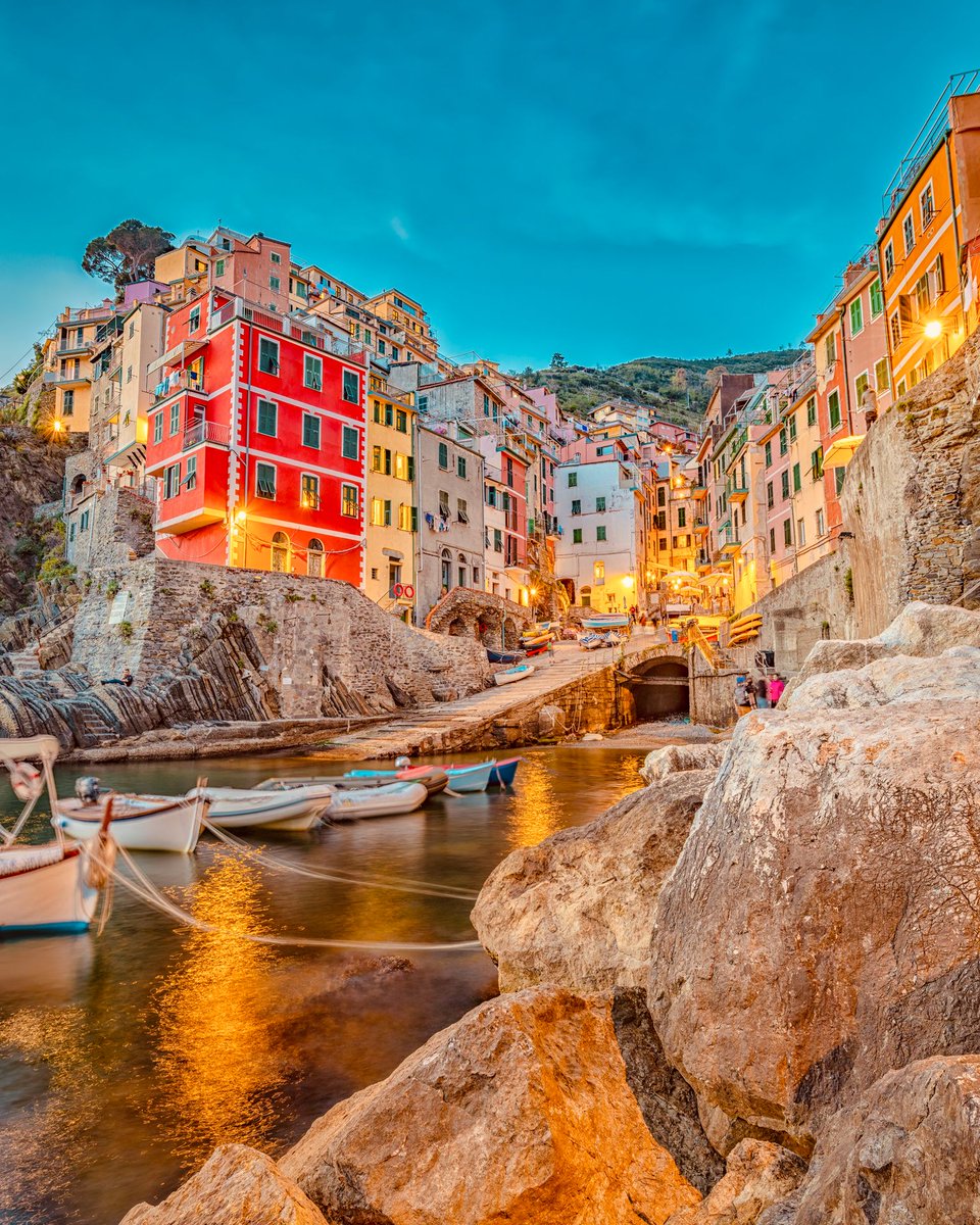 World in Pictures tweet media