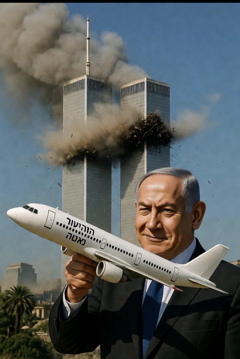 Jessie Ayres tweet media