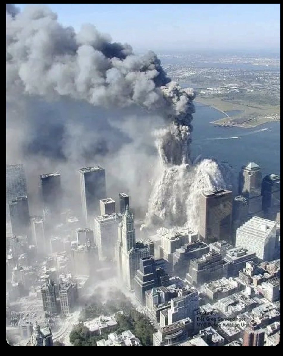 Jessie Ayres tweet media