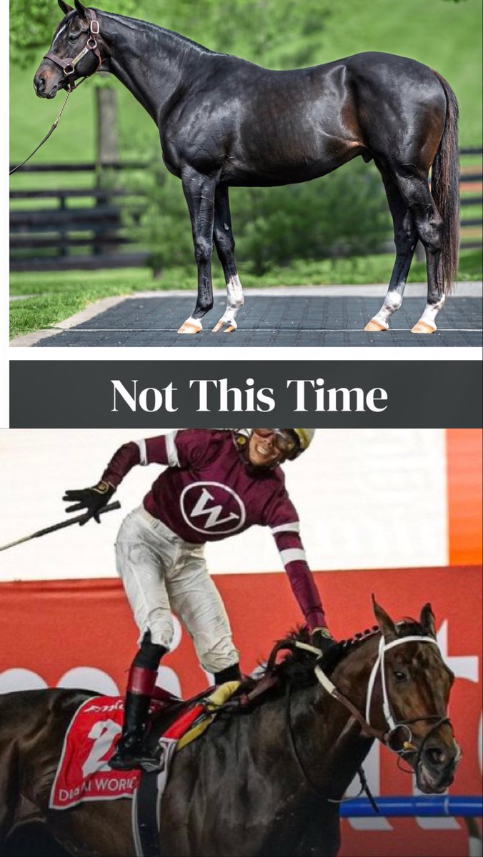 أحمد صقر الفرماوي tweet media