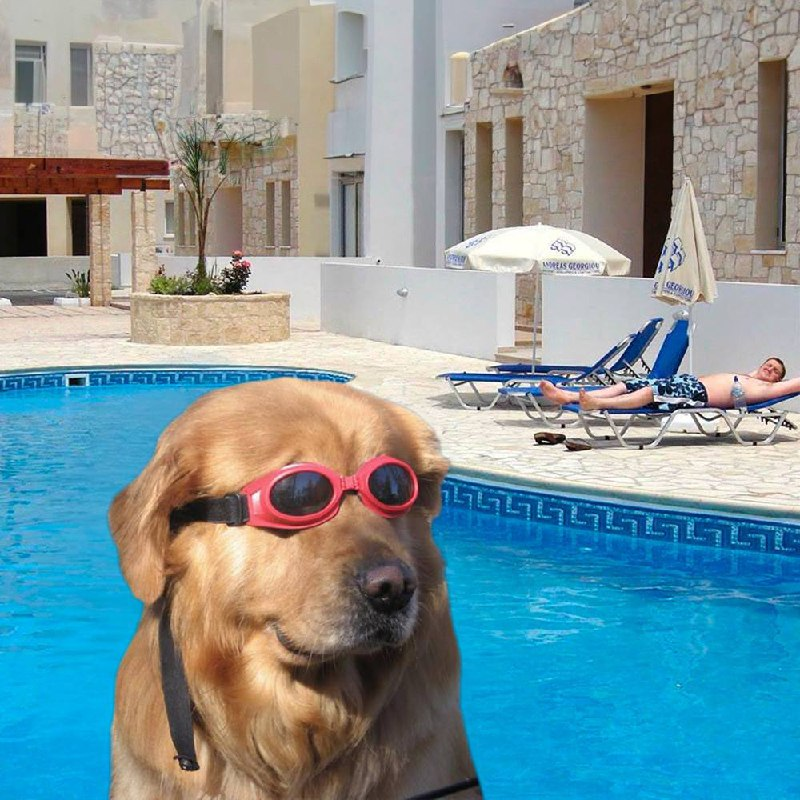 Closing a chapter today.

What started in early January 2024 turned into one of the craziest adventures of my crypto journey with $DIP.

I CTO’d the coin at around a $15k market cap and we pushed it all the way to nearly $8M at ATH.

More than a 500x.

Almost 2 years of CTO,