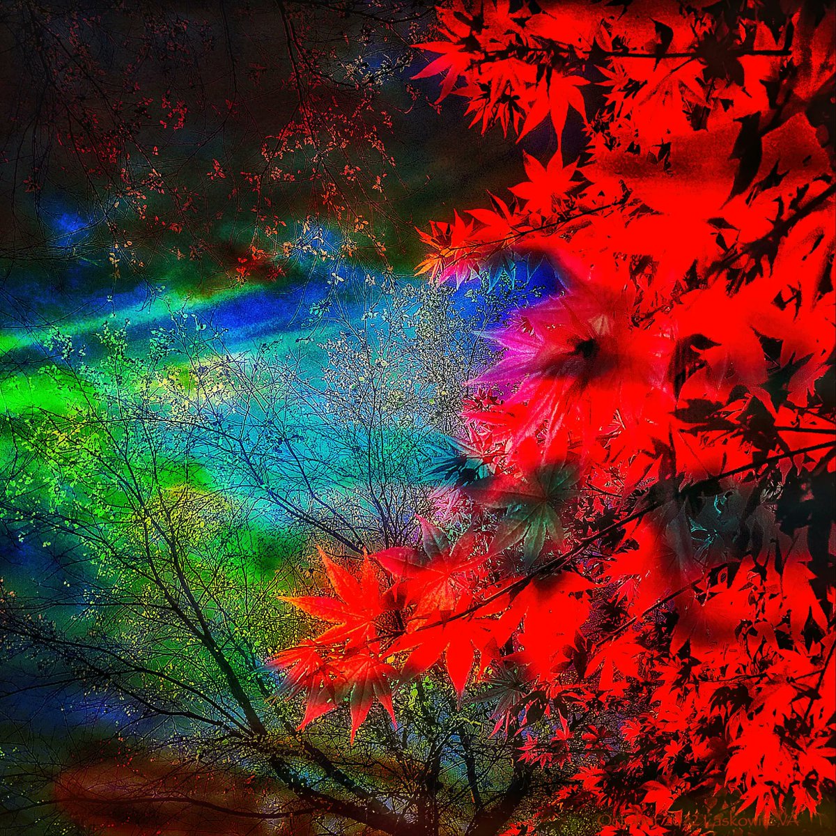 Ray Laskowitz tweet media