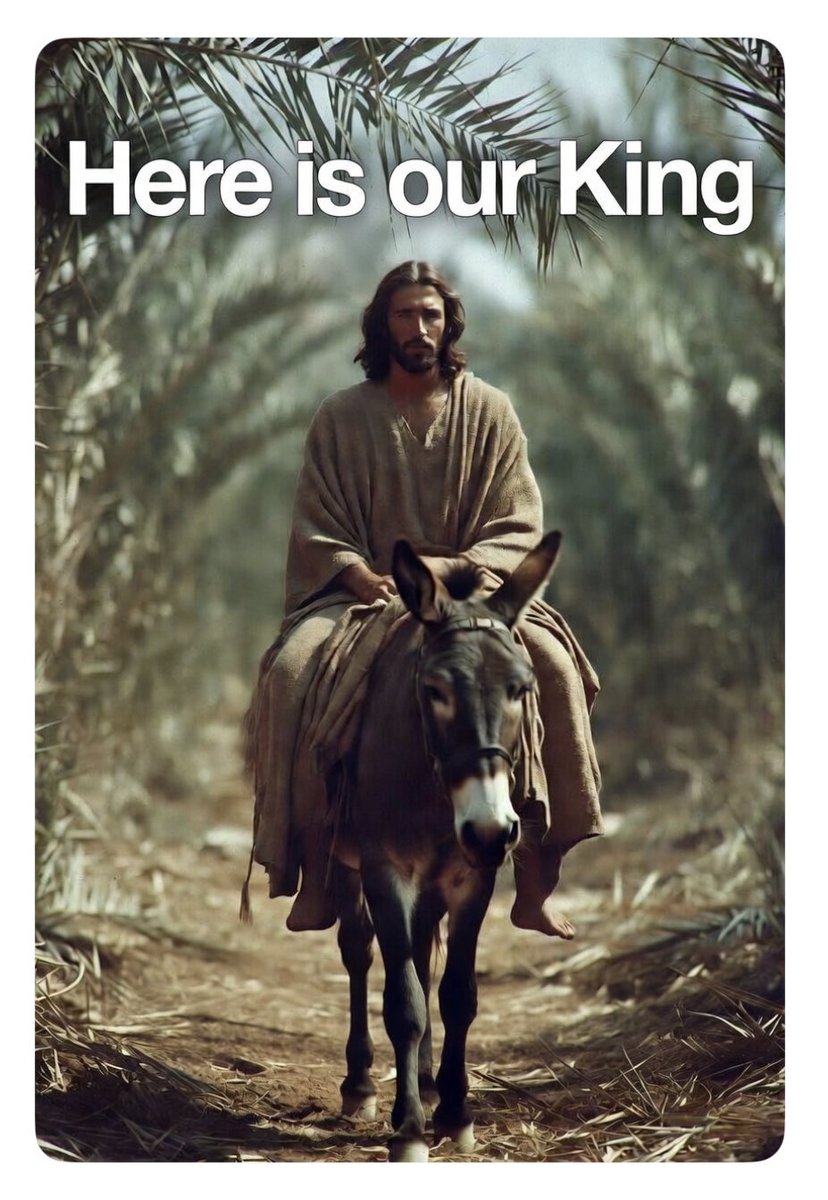 Mona Colwell tweet media