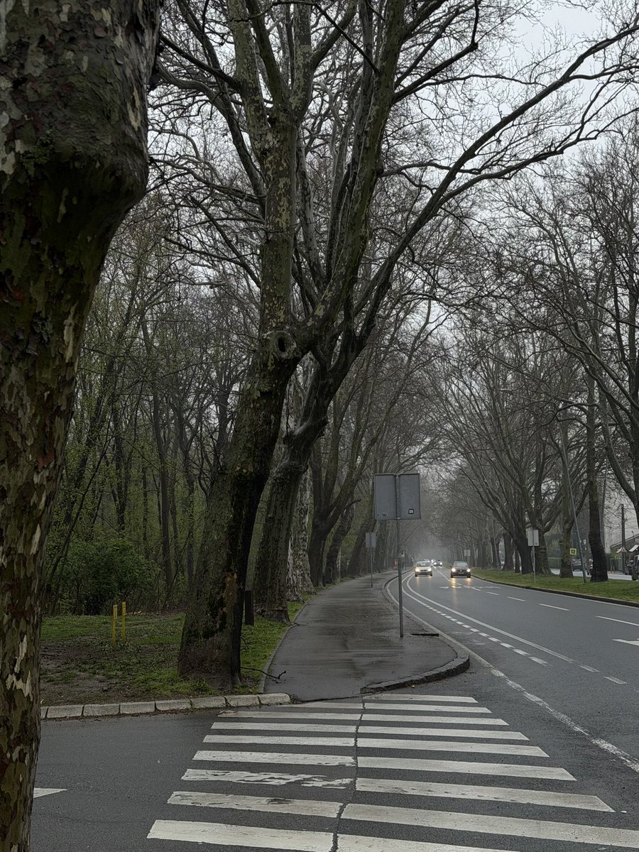 ебанутрия tweet media