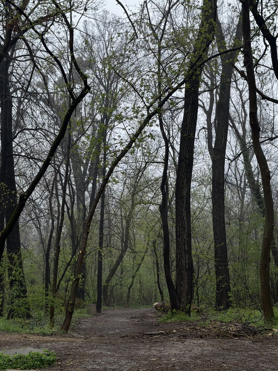 ебанутрия tweet media