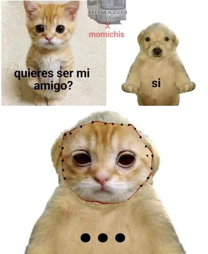 Shitpost Aleatorio tweet media