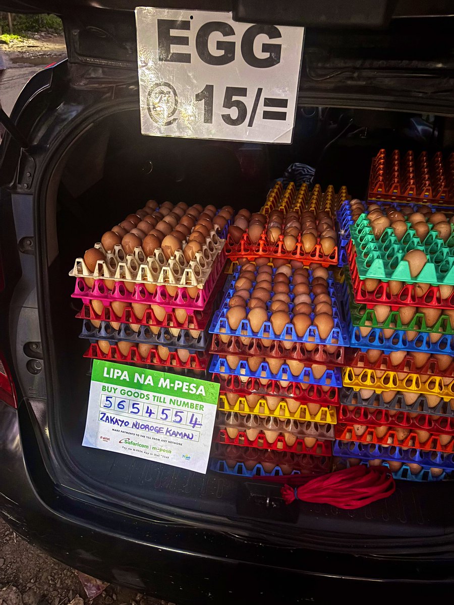 🍁RASTA MAN™🍁 tweet media