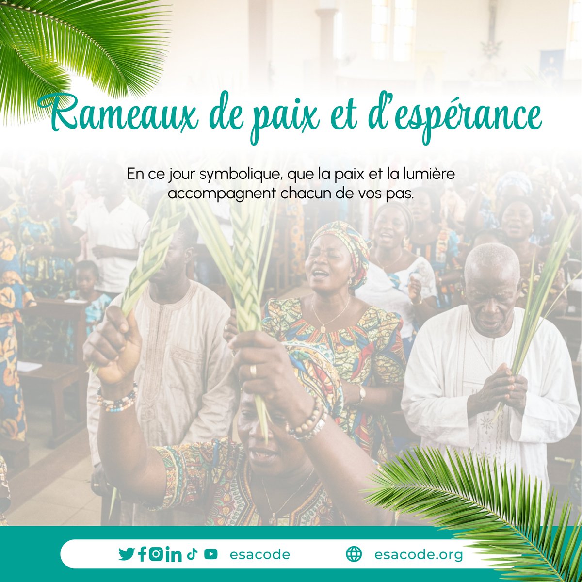 esacode01's tweet photo. 🌿 Il entre… et tout change.
En ce Dimanche des Rameaux, esacode s'associe à toute la communauté chrétienne pour vous souhaiter une semaine sainte de paix et de lumière. 🕊️
Joyeux Dimanche des Rameaux !
#DimancheDesRameaux #SemaineSainte #Foi #Espérance https://t.co/ogy3XBnrLM