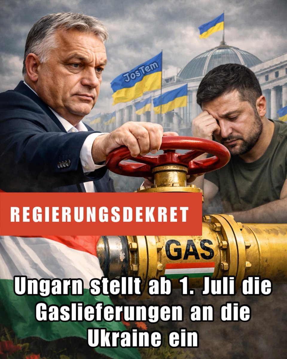 Tellervo Mäkiranta🇫🇮 tweet media