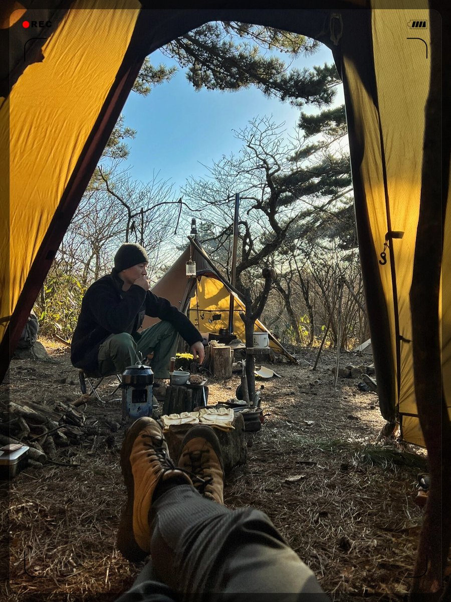 Kimberly Plants tweet media