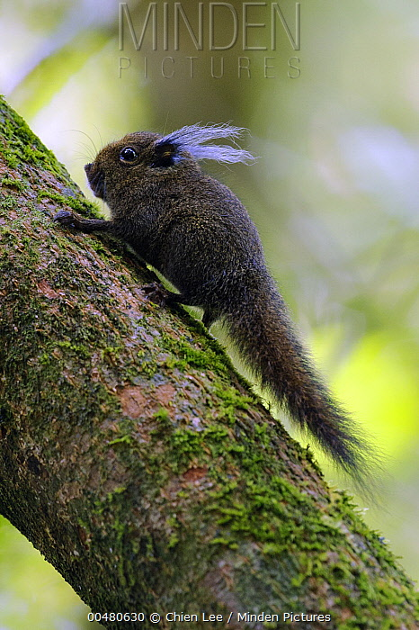 Snickels! (SLOTS ON TRELLO!) tweet media