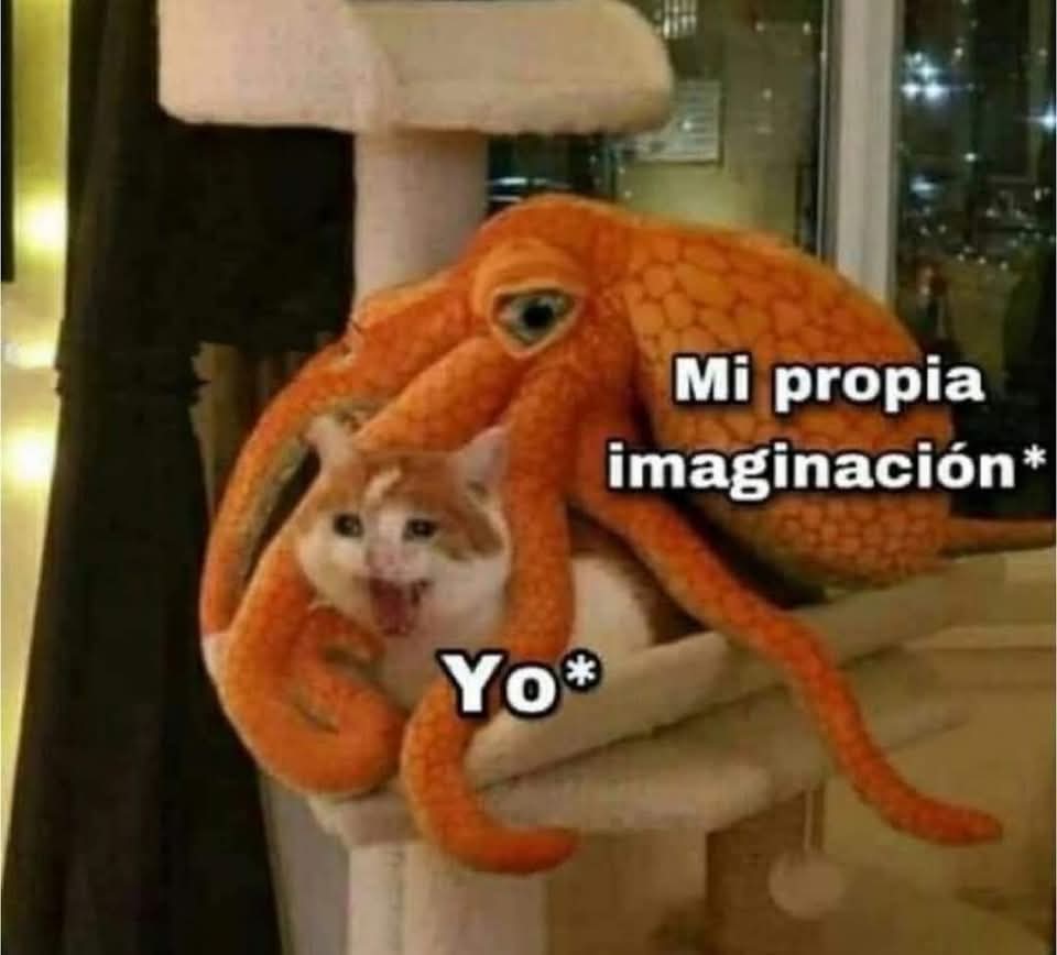 Animalitos en aprietos. tweet media