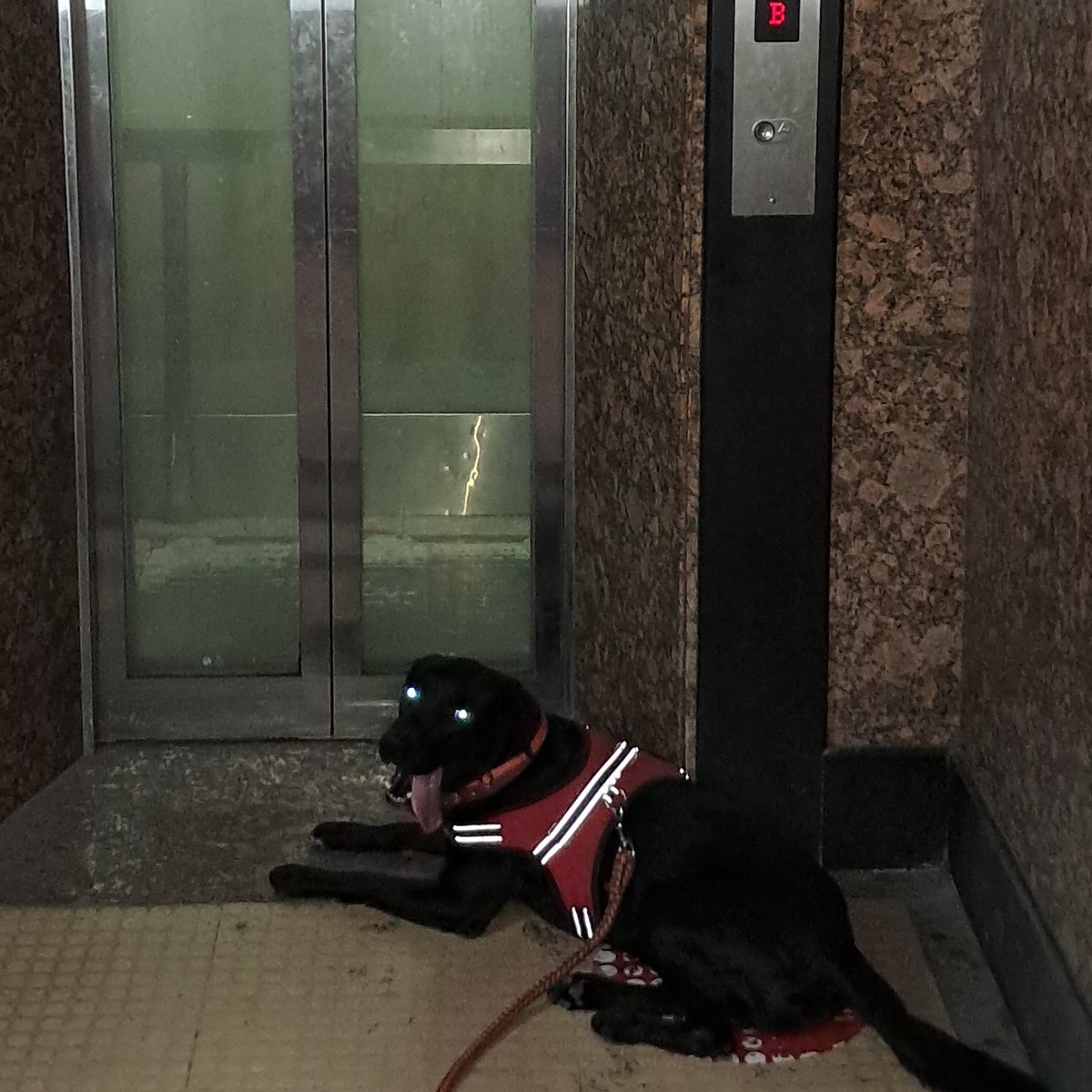 Kelev 🇨🇦 🇬🇧 🇵🇭 🇮🇱 tweet media