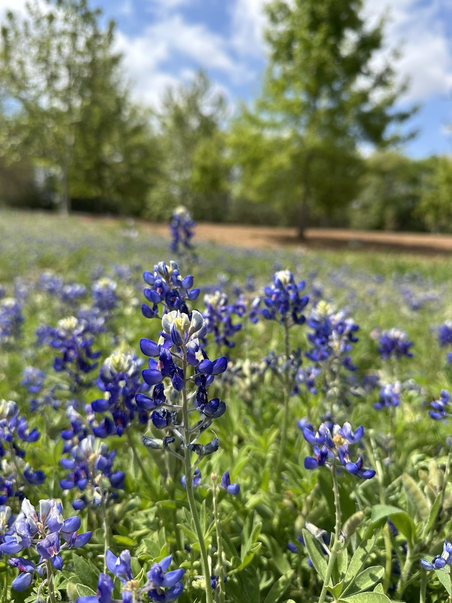 Jennifer Greenberg 🕊️ tweet media