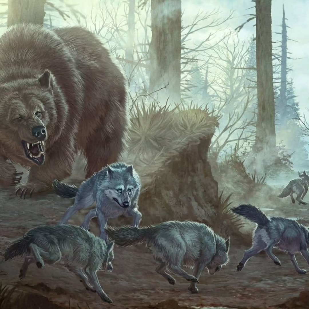 Mac Smith tweet media