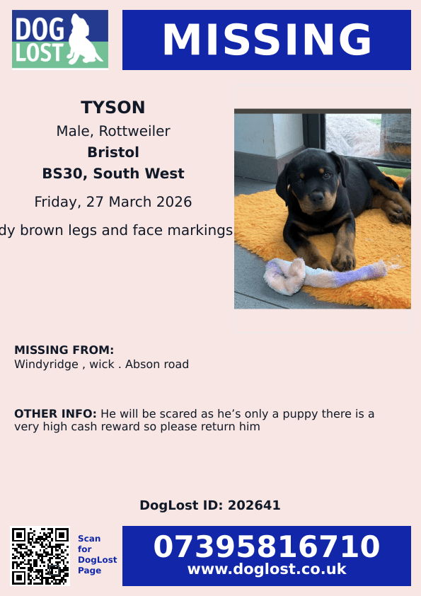 chris towers tweet media