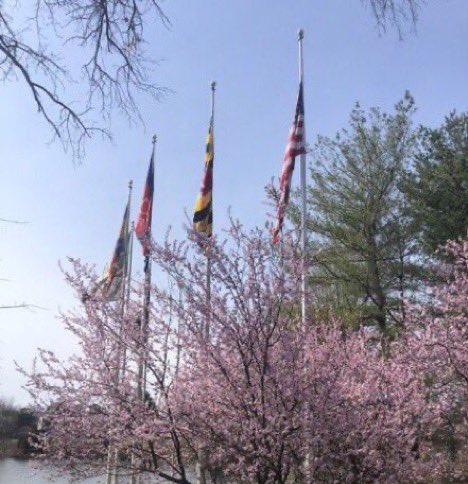 Pete Piringer tweet media