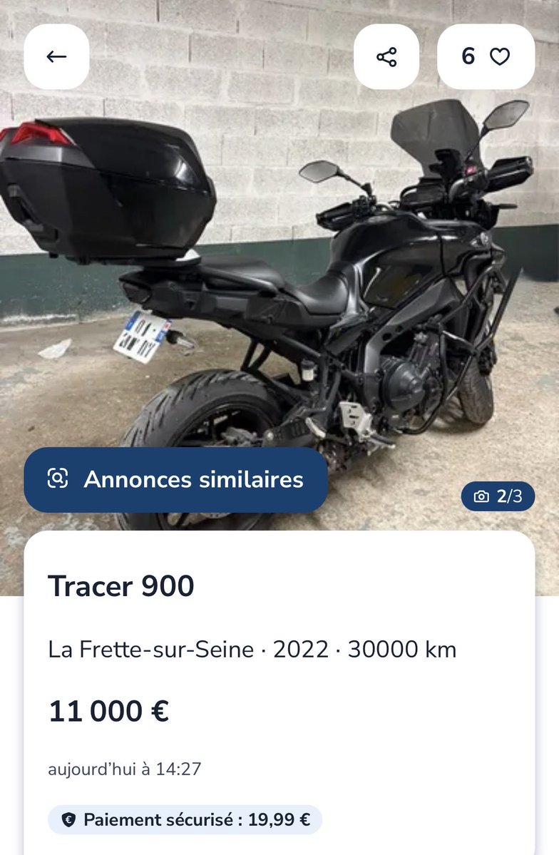 🇩🇿 tweet media