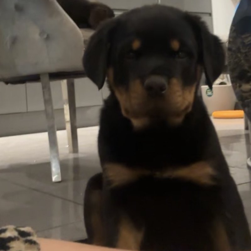 chris towers tweet media