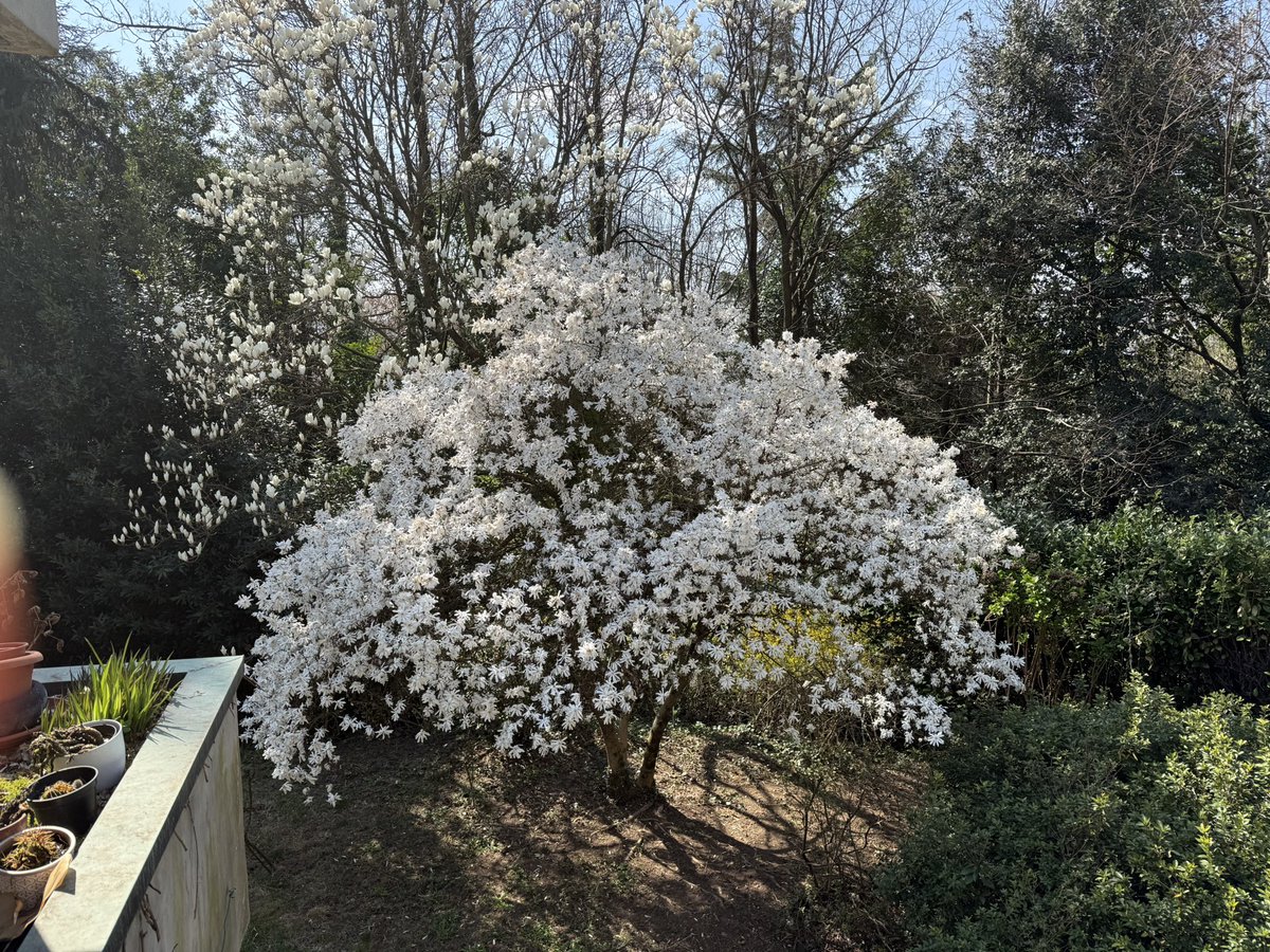 Di libri e romanzi tweet media