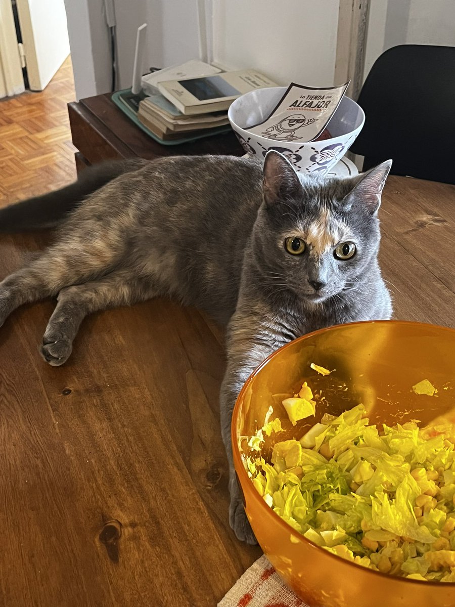 Solchu Paletas tweet media