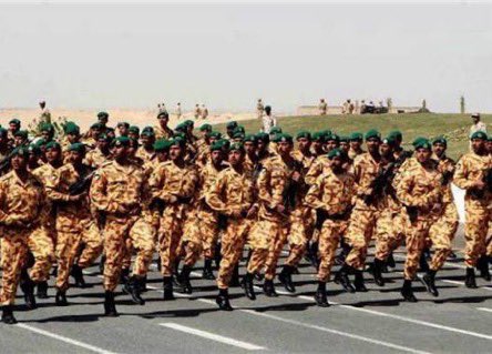 الرحال محمد الميموني tweet media