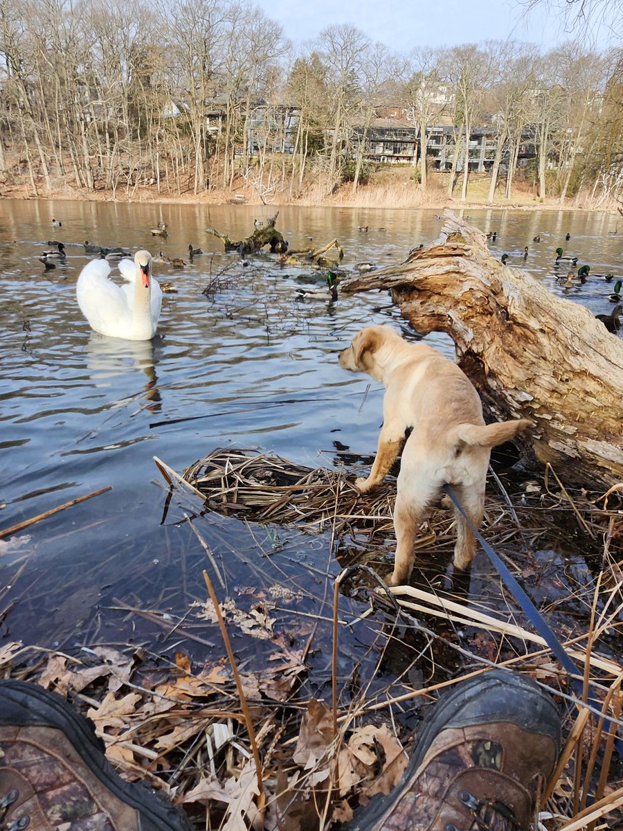 Terry Hlywka tweet media