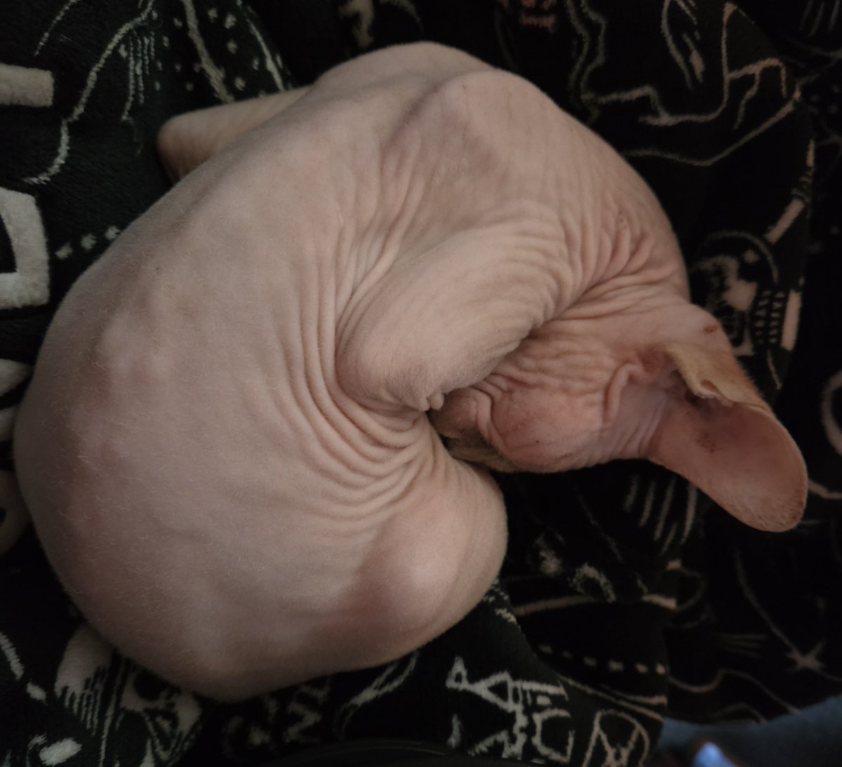 Loki XY🌍🇬🇧  (Get/Help/You/Need/It) tweet media