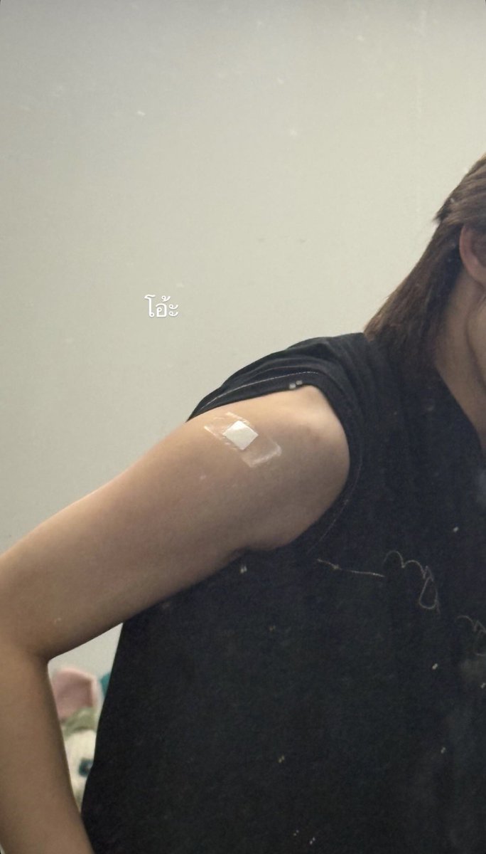 🫐blueberry tweet media