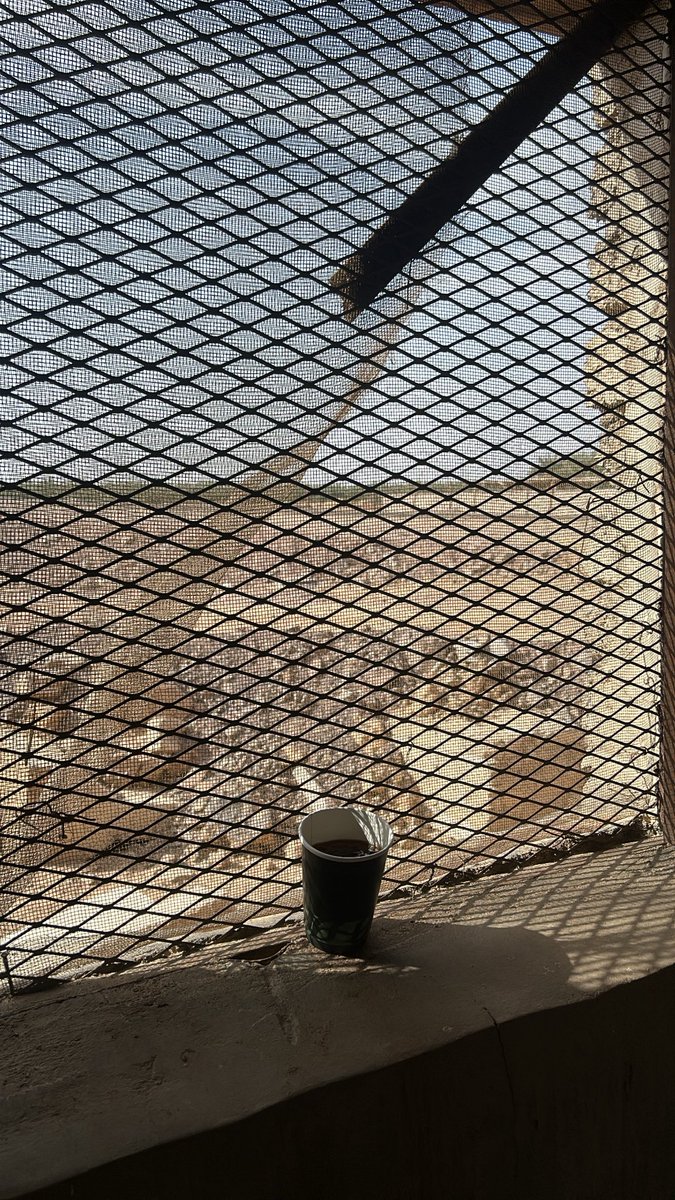 نيكولاس tweet media