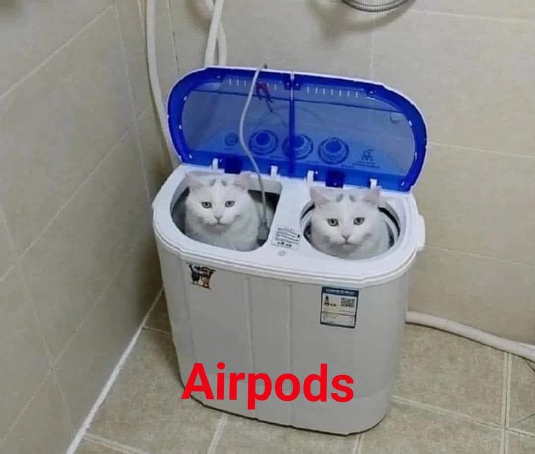 Animalitos en aprietos. tweet media